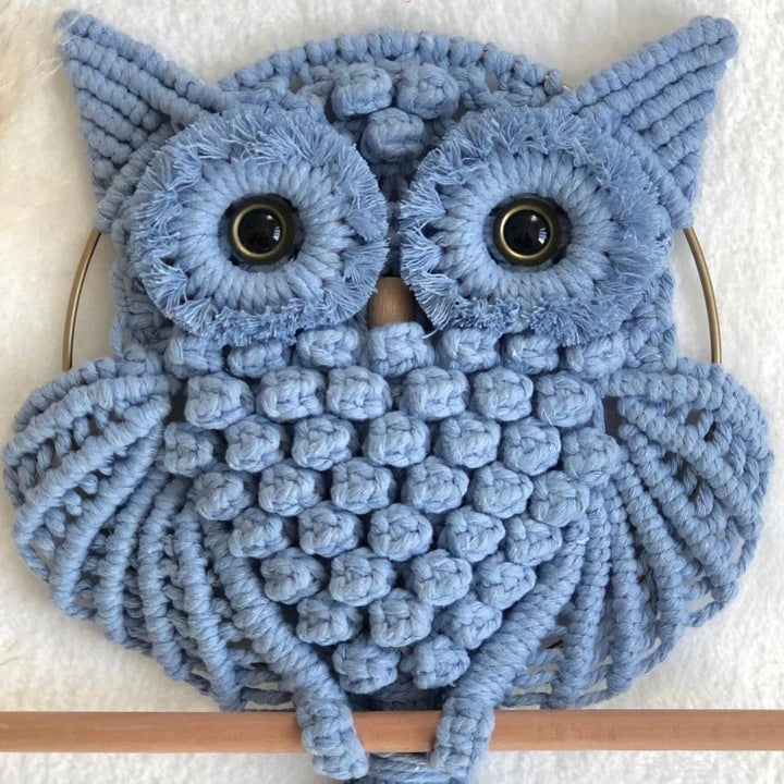 Handmade Macrame Owl Wall Hanging | Bohemian Decor | Cotton Rope Art