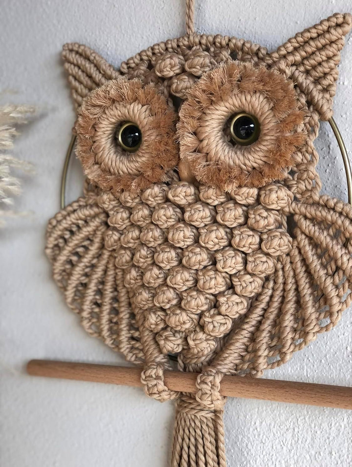 Handmade Macrame Owl Wall Hanging | Bohemian Decor | Cotton Rope Art