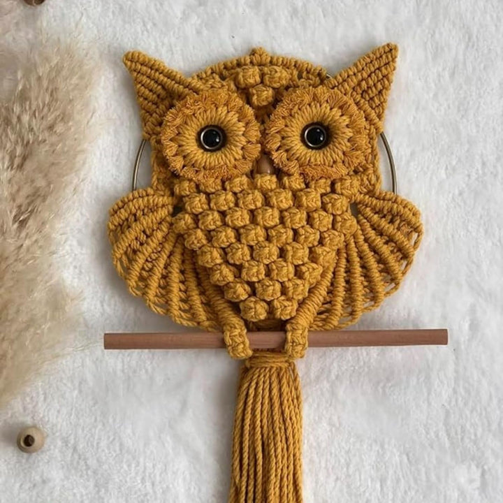 Handmade Macrame Owl Wall Hanging | Bohemian Decor | Cotton Rope Art