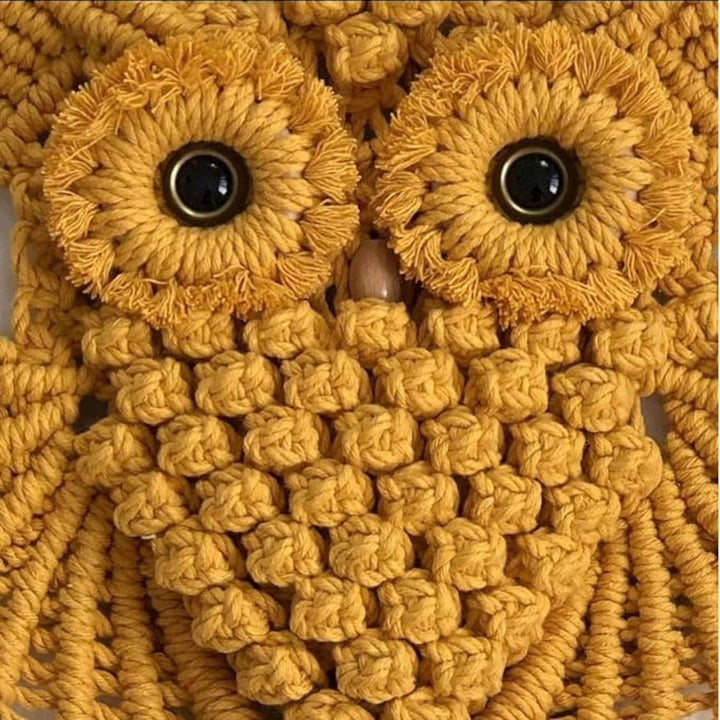 Handmade Macrame Owl Wall Hanging | Bohemian Decor | Cotton Rope Art