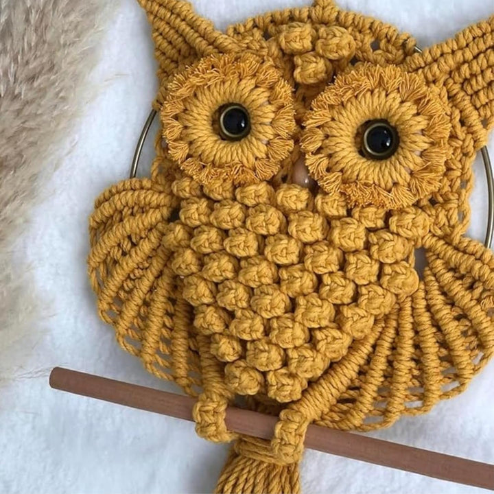 Handmade Macrame Owl Wall Hanging | Bohemian Decor | Cotton Rope Art