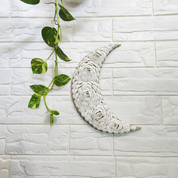 Handmade Seashell Moon Wall Art - 12" Crescent Moon Decor - Coastal Style